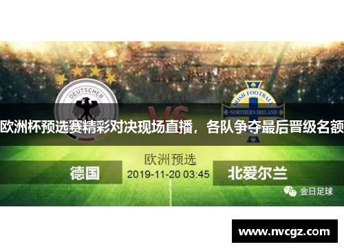 欧洲杯预选赛精彩对决现场直播,各队争夺最后晋级名额