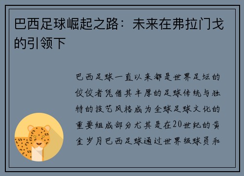 巴西足球崛起之路:未来在弗拉门戈的引领下