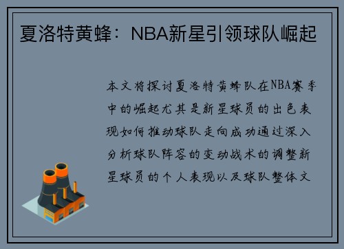夏洛特黄蜂:NBA新星引领球队崛起
