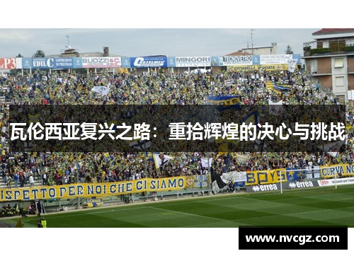瓦伦西亚复兴之路:重拾辉煌的决心与挑战